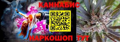 Альфа ПВП Новодвинск