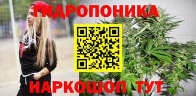 бошки Новокубанск