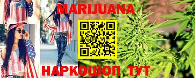 Альфа ПВП Новодвинск