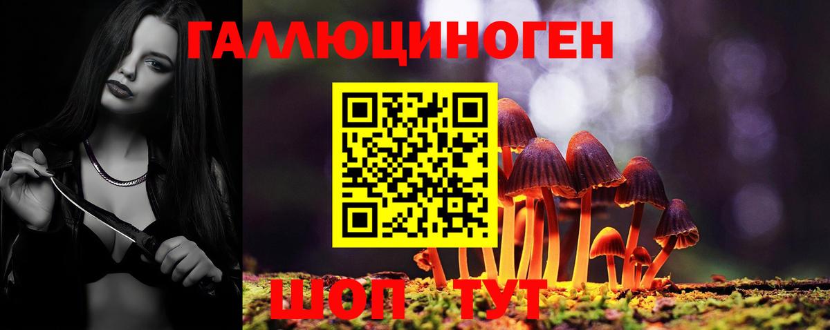 Галлюциногенные грибы Psilocybine cubensis  Вход с VPN  наркотики  Чита 